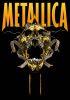 Metallica-Wallpaper-metallica-4122807-827-1181.jpg